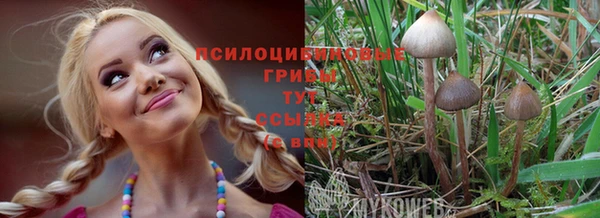 экстази Алексин