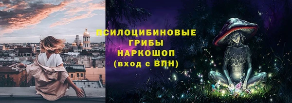 герыч Белая Холуница